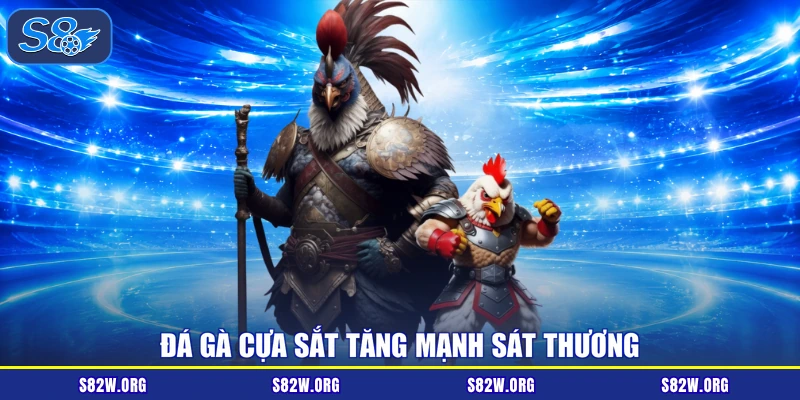 Đá gà cựa sắt tăng mạnh sát thương