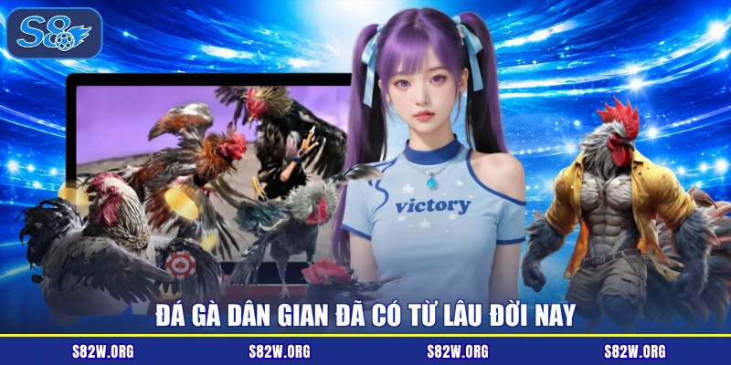 Đá gà dân gian đã có từ lâu đời nay