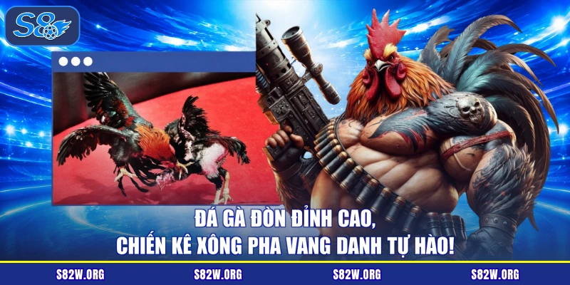 Đá Gà Đòn Đỉnh Cao, Chiến Kê Xông Pha Vang Danh Tự Hào!