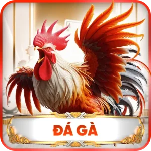 đá gà s8