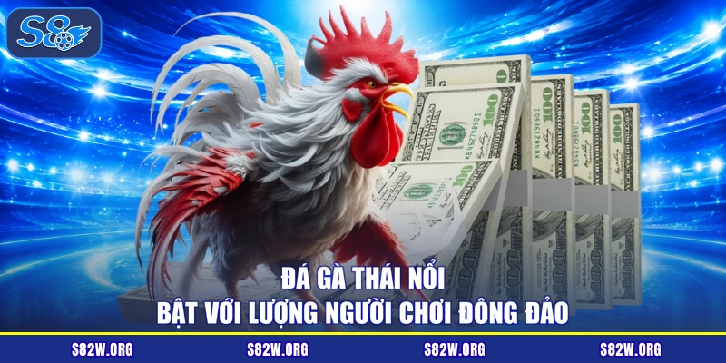 Đá gà thái nổi bật với lượng người chơi đông đảo
