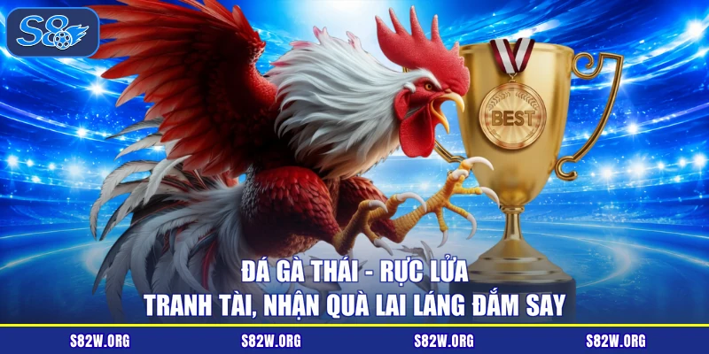 Đá Gà Thái - Rực Lửa Tranh Tài, Nhận Quà Lai Láng Đắm Say 