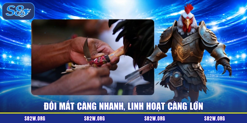 Đôi mắt càng nhanh, linh hoạt càng lớn