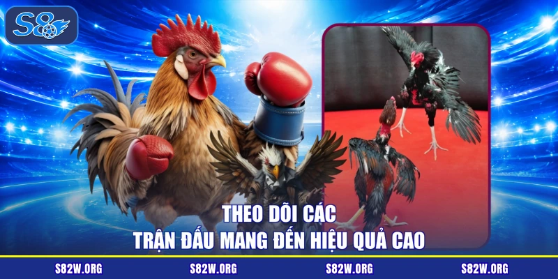 Theo dõi các trận đấu mang đến hiệu quả cao